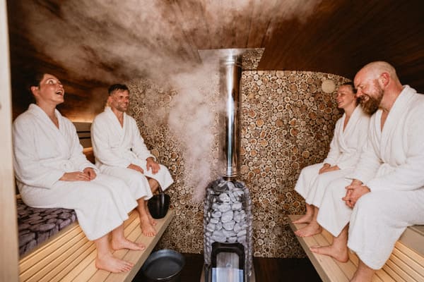 Commercial vs. Residential Sauna Heaters: What’s the Real Difference?